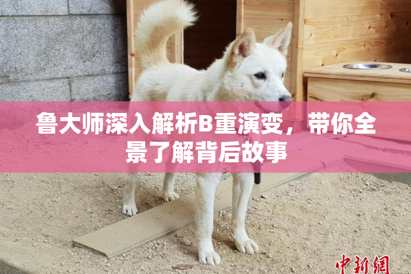 鲁大师深入解析B重演变，带你全景了解背后故事