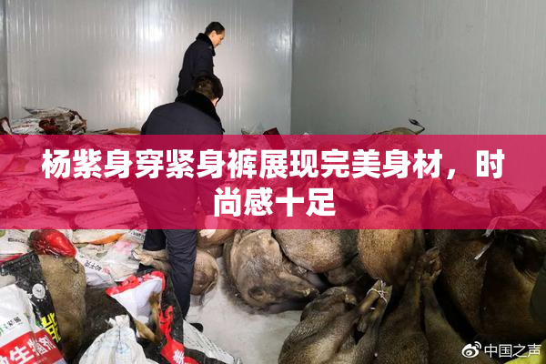 杨紫身穿紧身裤展现完美身材，时尚感十足