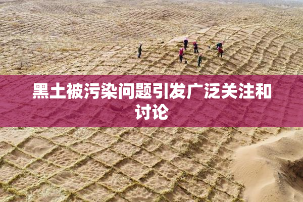 黑土被污染问题引发广泛关注和讨论