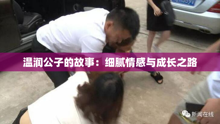温润公子的故事：细腻情感与成长之路