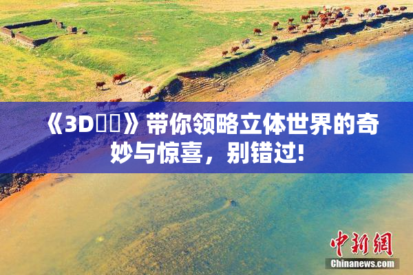 《3D姉弚》带你领略立体世界的奇妙与惊喜，别错过!