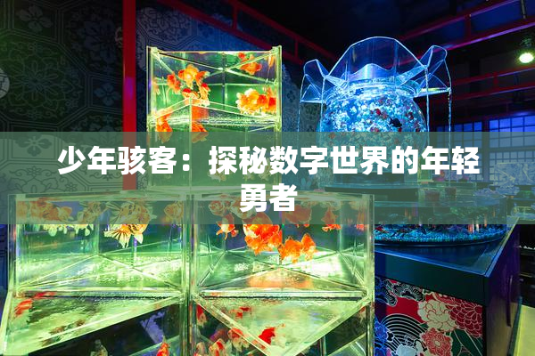 少年骇客：探秘数字世界的年轻勇者