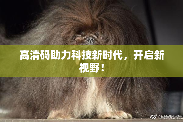 高清码助力科技新时代，开启新视野！