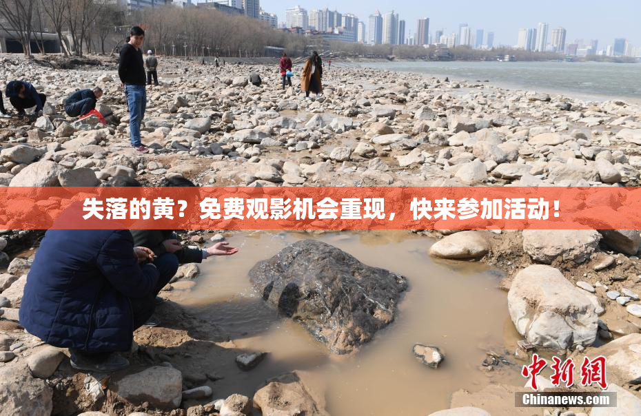 失落的黄？免费观影机会重现，快来参加活动！