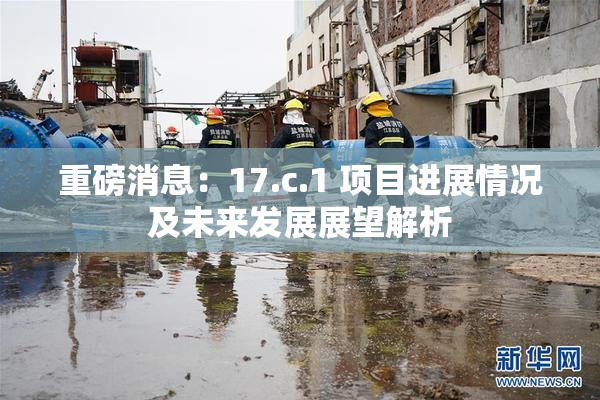 重磅消息：17.c.1 项目进展情况及未来发展展望解析