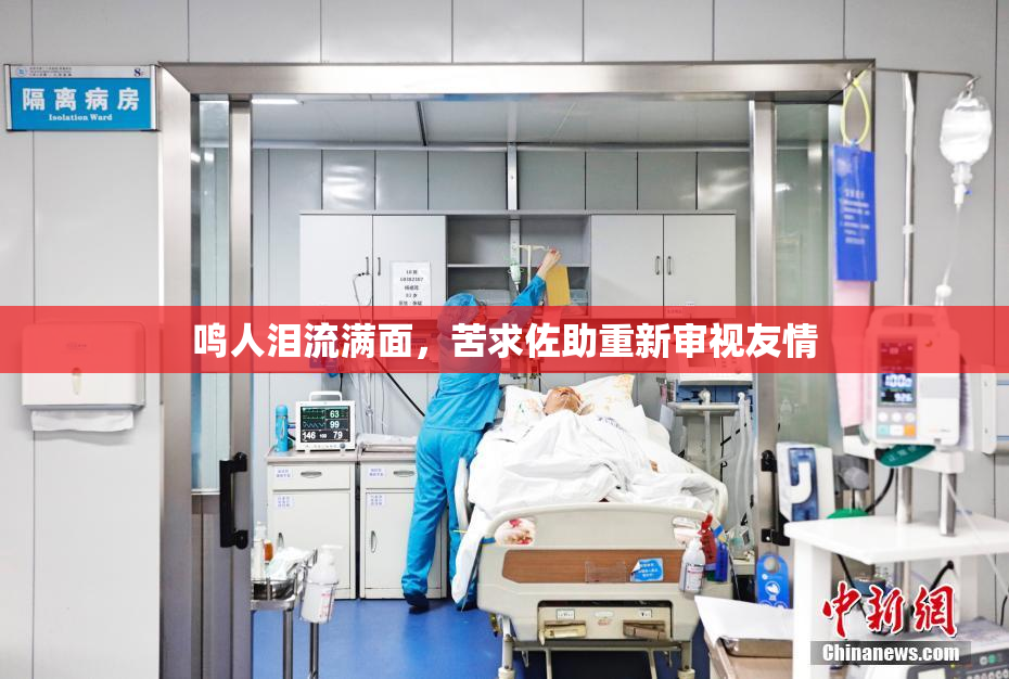鸣人泪流满面，苦求佐助重新审视友情