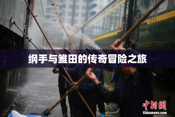 纲手与雏田的传奇冒险之旅
