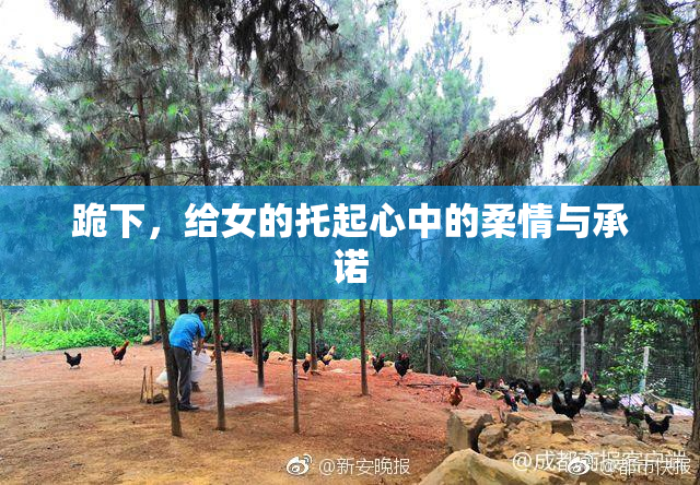 跪下，给女的托起心中的柔情与承诺