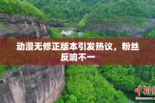 动漫无修正版本引发热议，粉丝反响不一