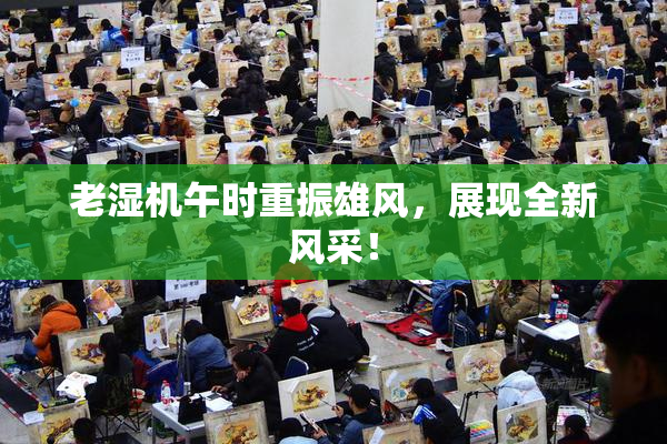 老湿机午时重振雄风，展现全新风采！