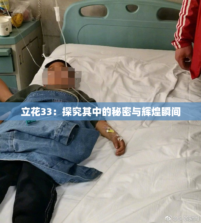 立花33：探究其中的秘密与辉煌瞬间