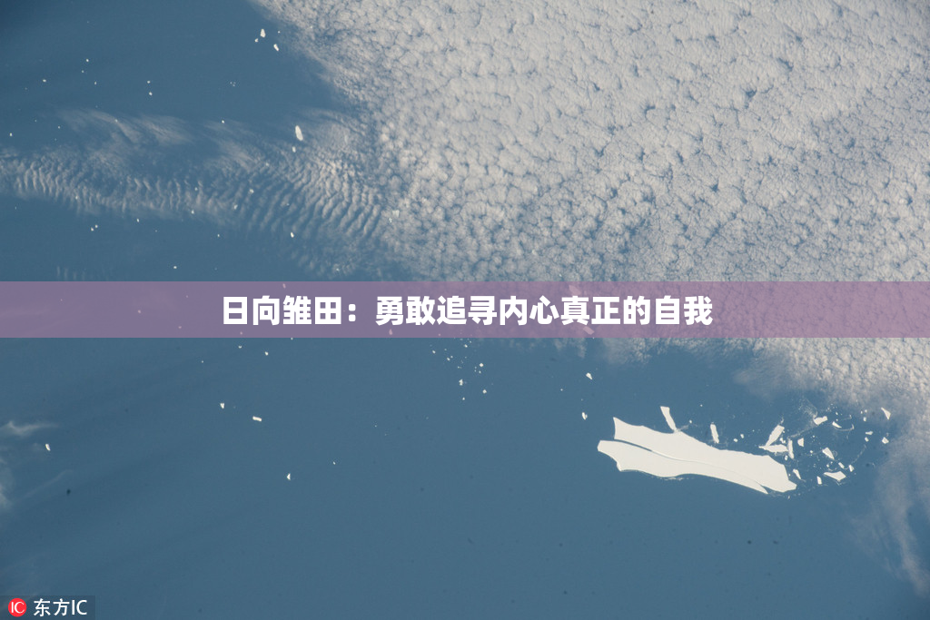 日向雏田：勇敢追寻内心真正的自我