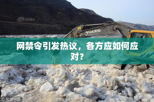 网禁令引发热议，各方应如何应对？