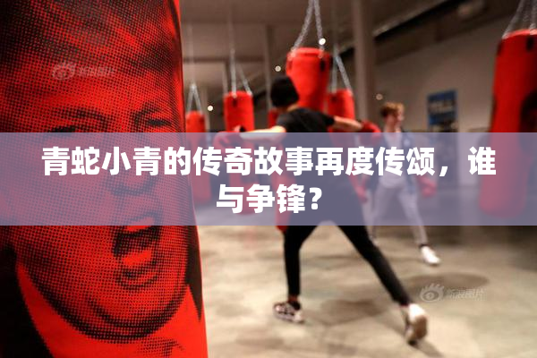 青蛇小青的传奇故事再度传颂，谁与争锋？