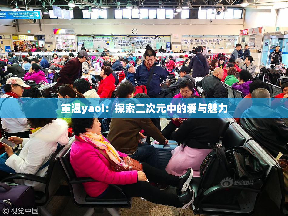 重温yaoi：探索二次元中的爱与魅力