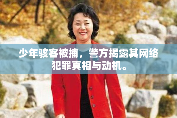 少年骇客被捕，警方揭露其网络犯罪真相与动机。