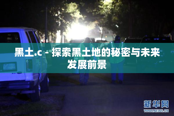 黑土.c - 探索黑土地的秘密与未来发展前景
