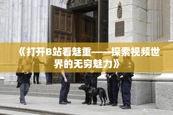 《打开B站看魅重——探索视频世界的无穷魅力》