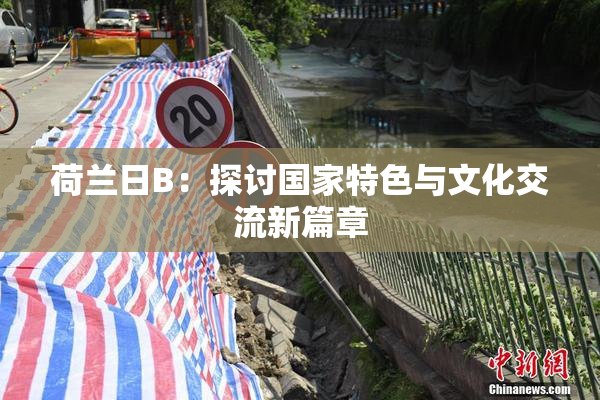 荷兰日B：探讨国家特色与文化交流新篇章