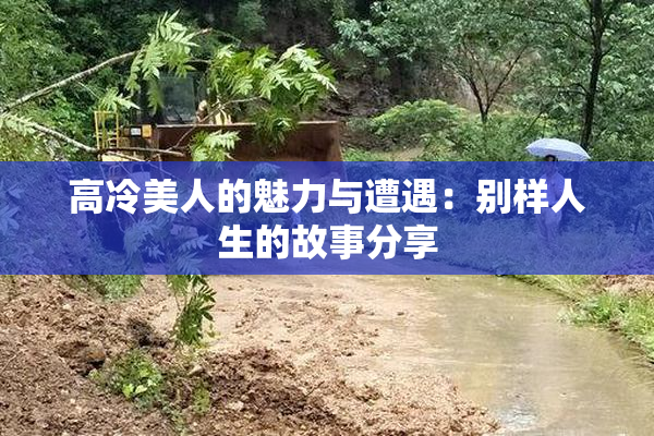 高冷美人的魅力与遭遇：别样人生的故事分享