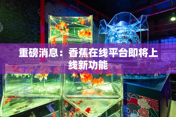 重磅消息：香蕉在线平台即将上线新功能