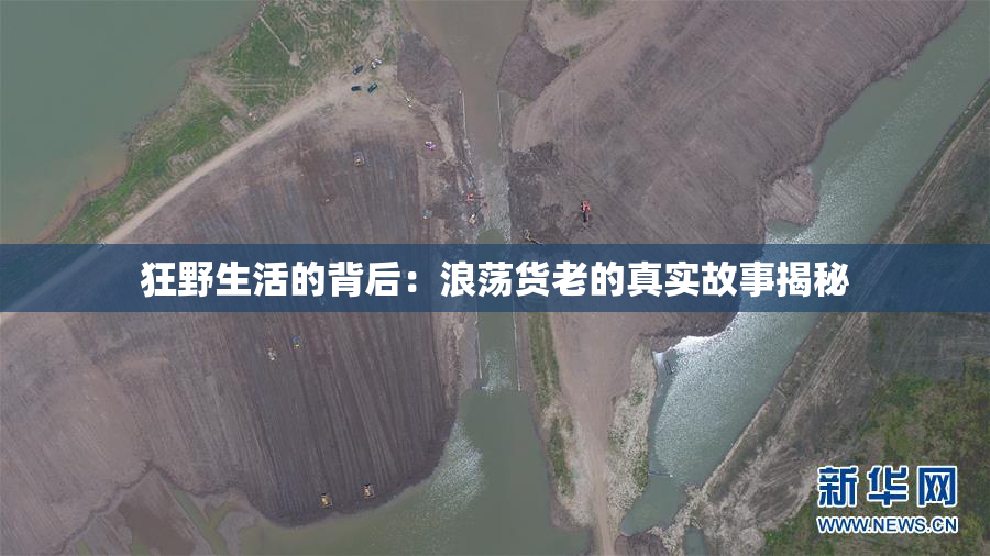 狂野生活的背后：浪荡货老的真实故事揭秘