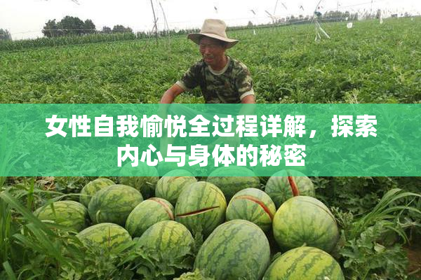 女性自我愉悦全过程详解，探索内心与身体的秘密