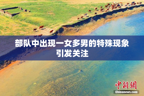 部队中出现一女多男的特殊现象引发关注
