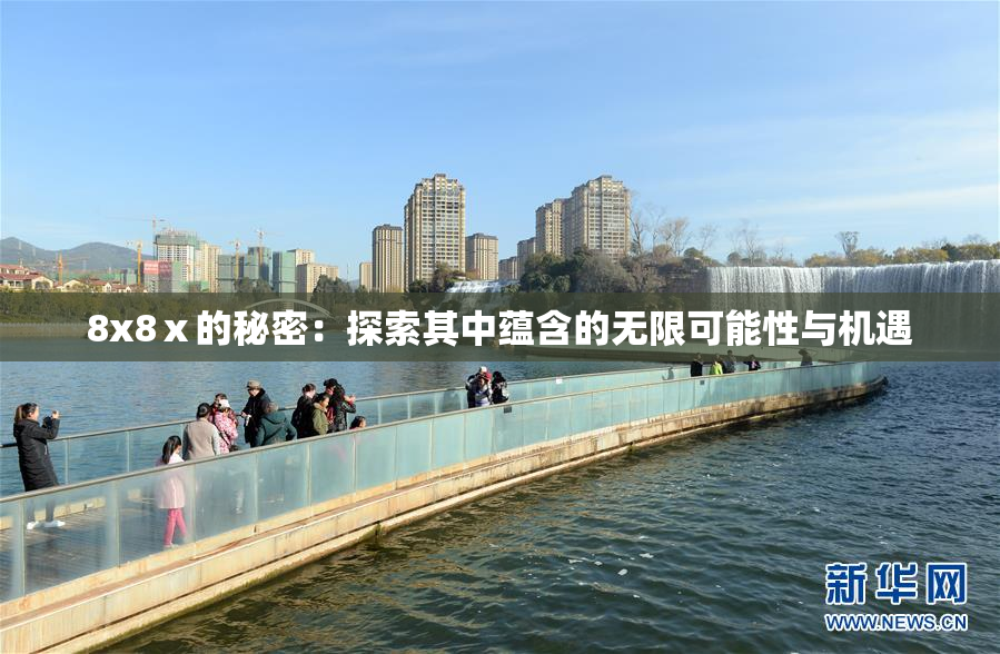 8x8ⅹ的秘密：探索其中蕴含的无限可能性与机遇
