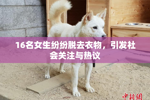 16名女生纷纷脱去衣物，引发社会关注与热议
