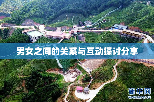 男女之间的关系与互动探讨分享