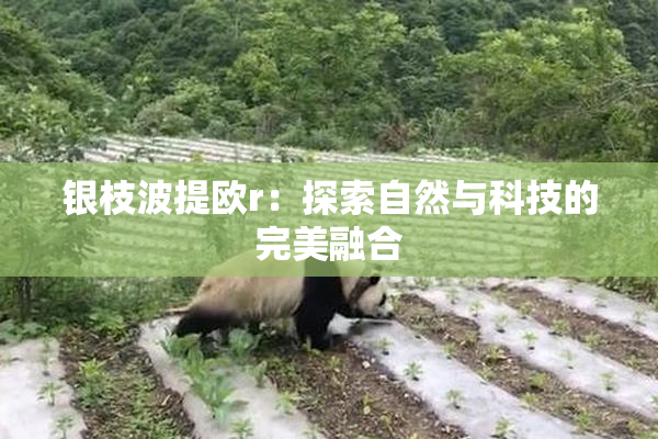 银枝波提欧r：探索自然与科技的完美融合