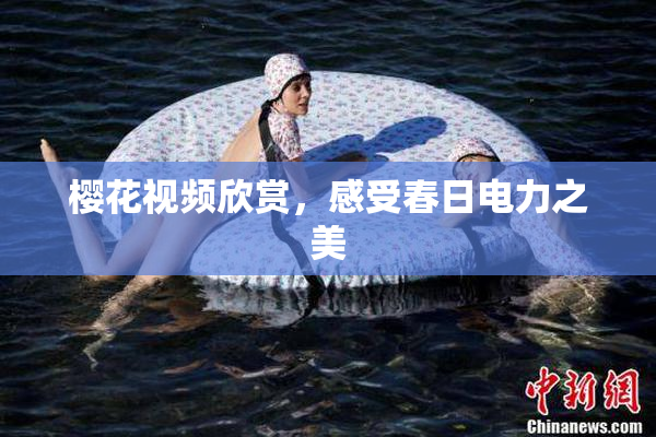 樱花视频欣赏，感受春日电力之美