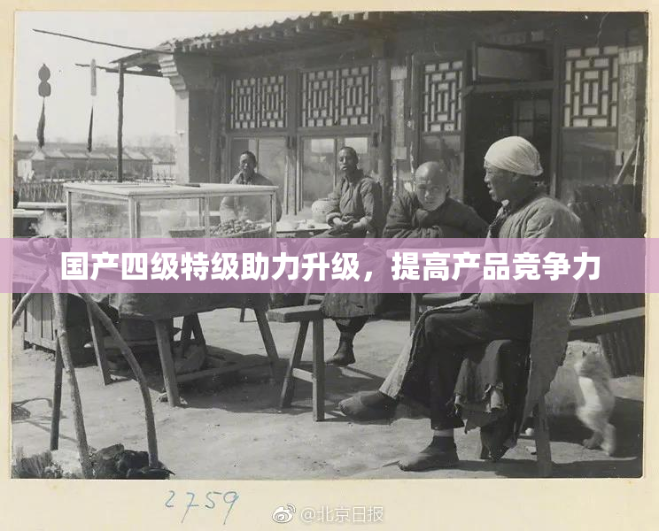 国产四级特级助力升级，提高产品竞争力