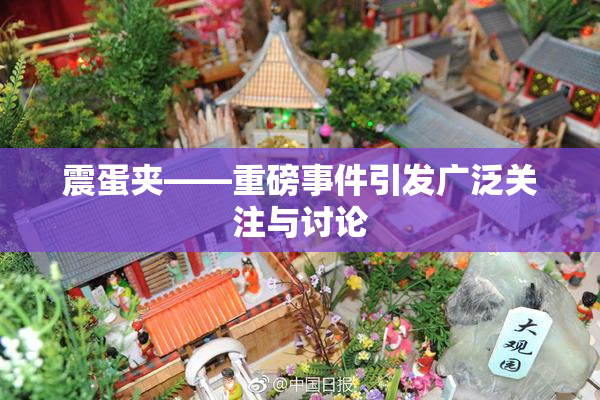 震蛋夹――重磅事件引发广泛关注与讨论
