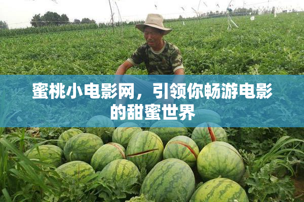 蜜桃小电影网，引领你畅游电影的甜蜜世界