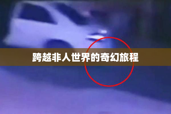 跨越非人世界的奇幻旅程