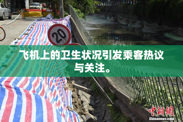 飞机上的卫生状况引发乘客热议与关注。