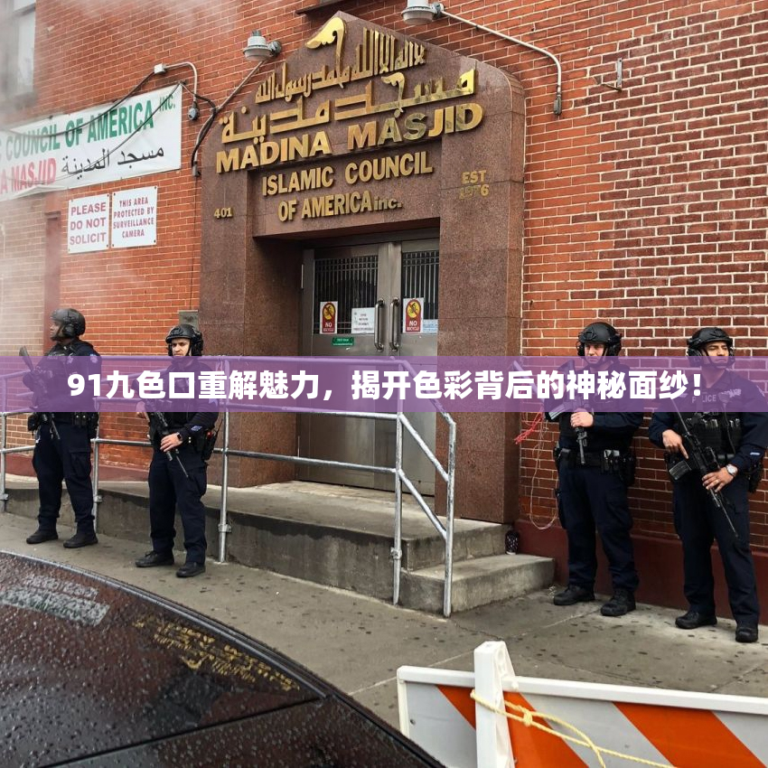 91九色口重解魅力，揭开色彩背后的神秘面纱！