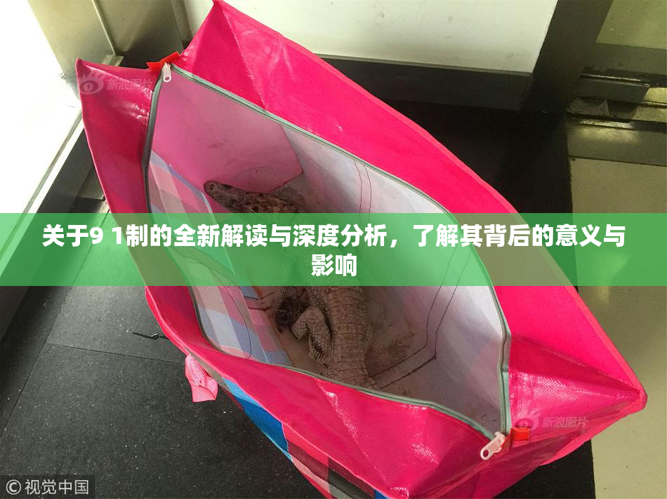 关于9 1制的全新解读与深度分析，了解其背后的意义与影响