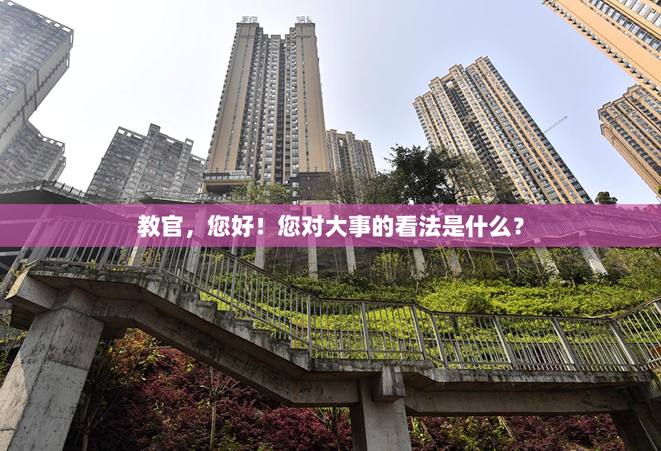教官，您好！您对大事的看法是什么？