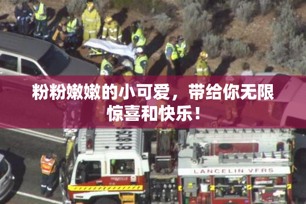 粉粉嫩嫩的小可爱，带给你无限惊喜和快乐！