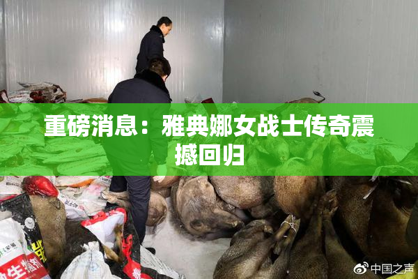 重磅消息：雅典娜女战士传奇震撼回归