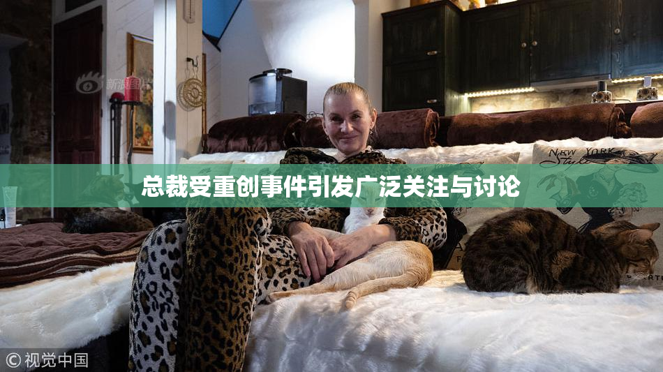 总裁受重创事件引发广泛关注与讨论