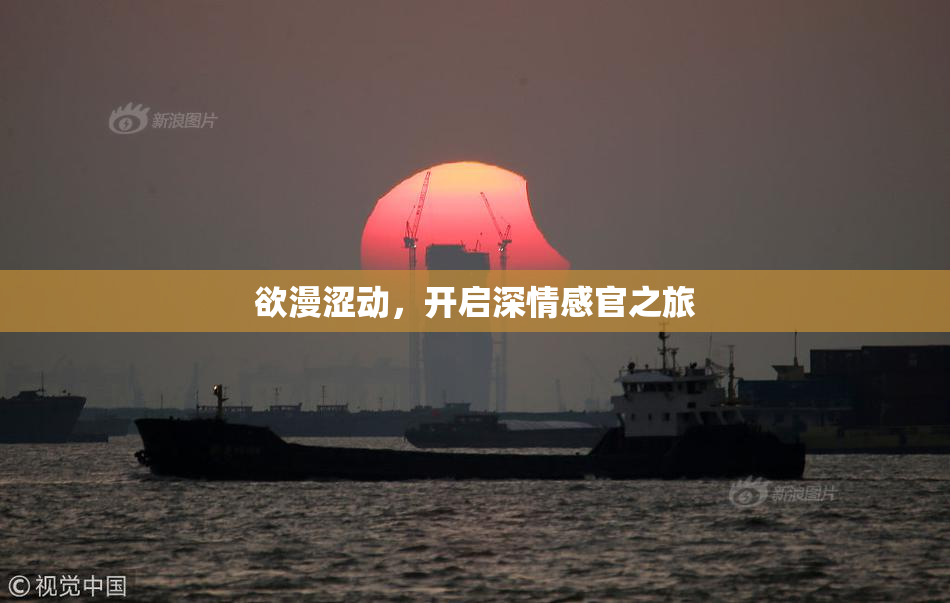 欲漫涩动，开启深情感官之旅