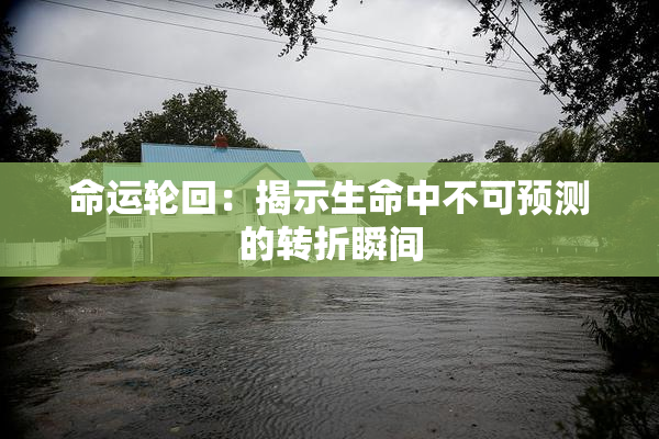 命运轮回：揭示生命中不可预测的转折瞬间