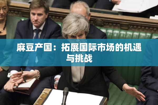 麻豆产国：拓展国际市场的机遇与挑战