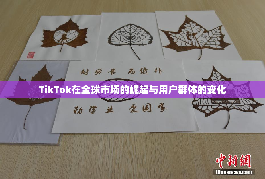 TikTok在全球市场的崛起与用户群体的变化