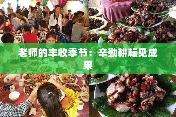 老师的丰收季节：辛勤耕耘见成果