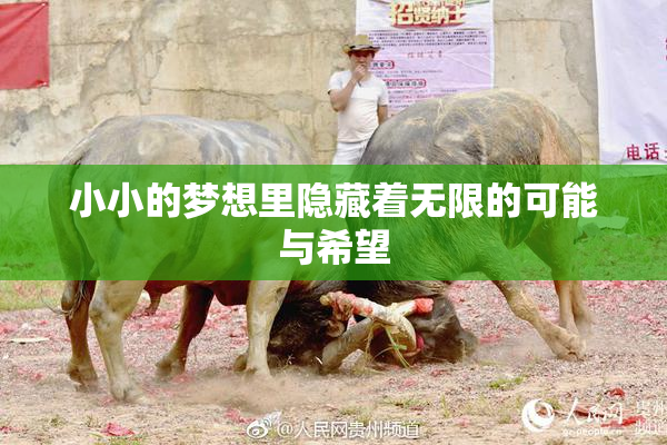 小小的梦想里隐藏着无限的可能与希望